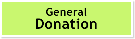 General Donation Button